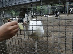 -第五季龙水凤港生态露营农场