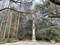 -虎跑公园