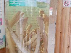 -北京鹿世界主题园