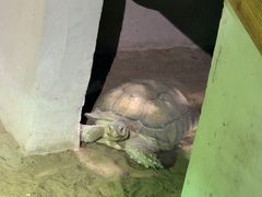 -萌宠奇缘(荣鼎店)