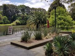 -墨尔本皇家植物园