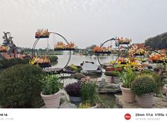 -荷兰花海