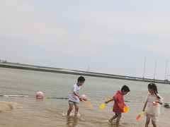 -碧海金沙