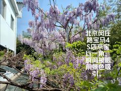 -北京京宝行宝马4S店(闵庄路店)
