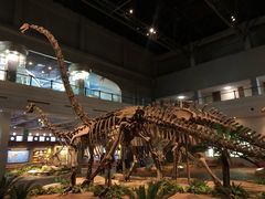 -自贡恐龙博物馆