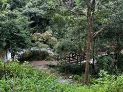 -广州市石门国家森林公园