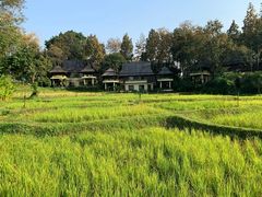 -四季酒店下午茶