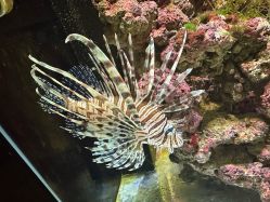 -Zoolung Zoolung动物主题公园(海信广场店)