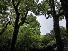 -天一阁博物院