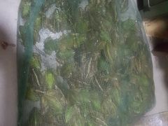 -蜀膳坊(洪公祠小区店)