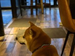 -Arrow Factory Brewing箭厂啤酒