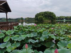 -上海市保健医疗中心