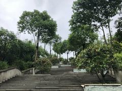 -铁山坪森林公园