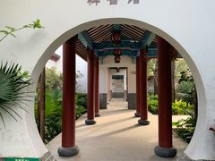 -大亚湾红树林城市湿地公园