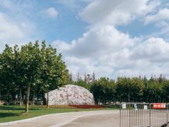 -上海海湾国家森林公园