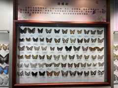 -吉林省自然博物馆