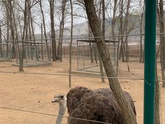 -大连铭湖国际观光牧场