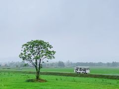 -良渚古城遗址公园