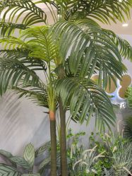 -八佰伴8008星级形象店