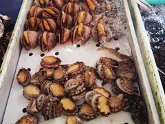 -南沙十九涌渔人码头-南门