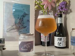 -MEDISN·药厂