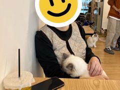 -有喵·猫咖·狗咖·30几只猫10只小狗(岗厦店)