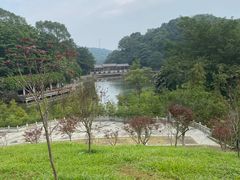 -广州市帽峰山景区