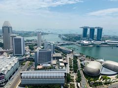 -新加坡瑞士史丹福酒店