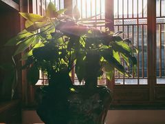 -云和夜泊酒店·中餐厅