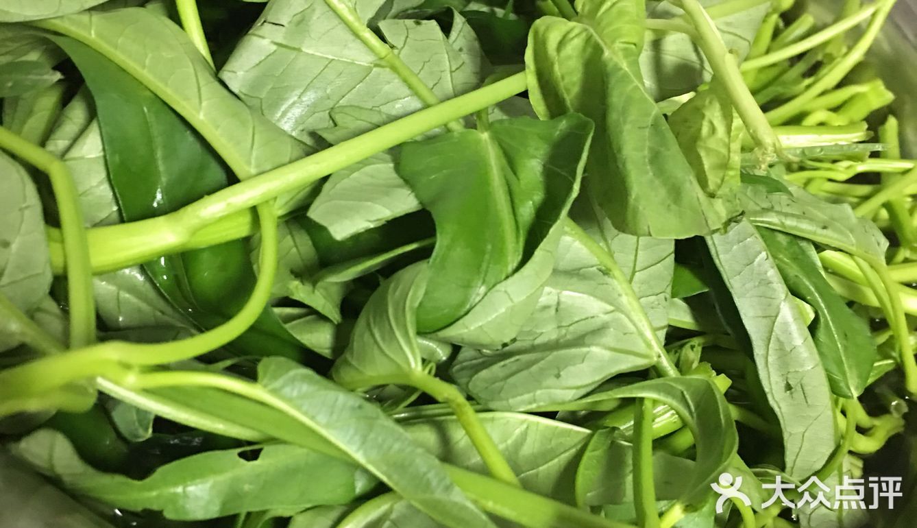家庭菜之蒜泥空心菜，一道时令菜