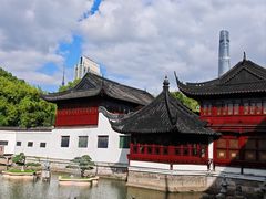 -绿波廊(豫园店)