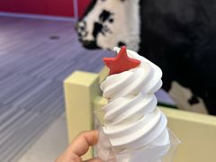 -红星前进面包牛奶公司(君太店)