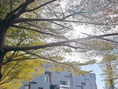 -二沙岛-广东华侨博物馆