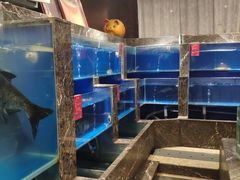 水产区-百姓渔村(建设路店)