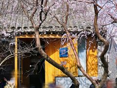 -三里河公园