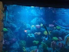 -左海海底世界