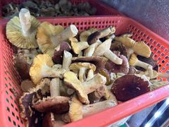 -佳缘野生菌食府