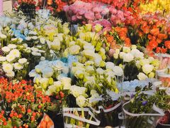 -宝鸡东道花鸟鱼虫市场(吉利花园商场店)