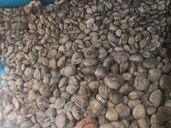 -云南巷海鲜大咖·可加工海鲜