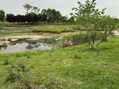 -两河城市森林公园