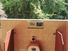 -西双版纳原始森林公园