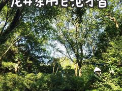 -虎跑公园