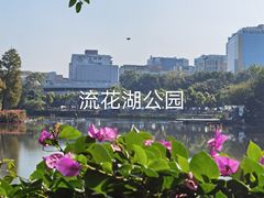 -荔湾湖公园