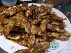 蛏子辣炒-天津乾毓德饭庄·清真传统炒菜·海鲜烧烤(咸阳路店)