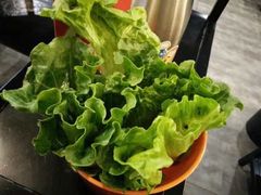 -古乐牛香·鲜牛肉牛杂火锅(五一中路店)