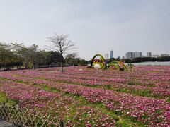 -海珠湖公园