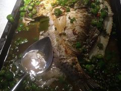 -探鱼·鲜青椒爽麻烤鱼(西南商都店)