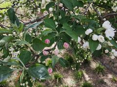 -元大都城垣遗址公园