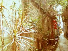 -小洲村
