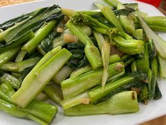 -水上鱼当家